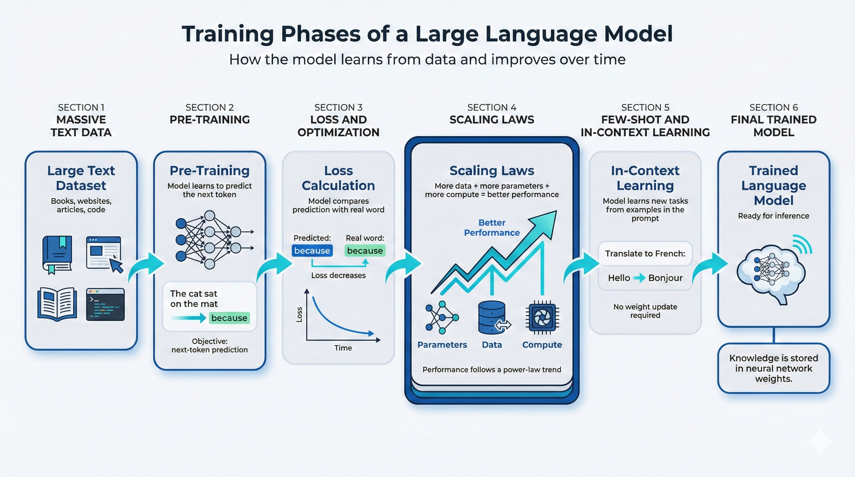 Training phases of a Large Language Model